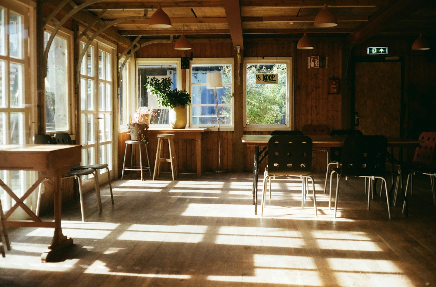 Zonnig café met rustieke houten muren en tafels.